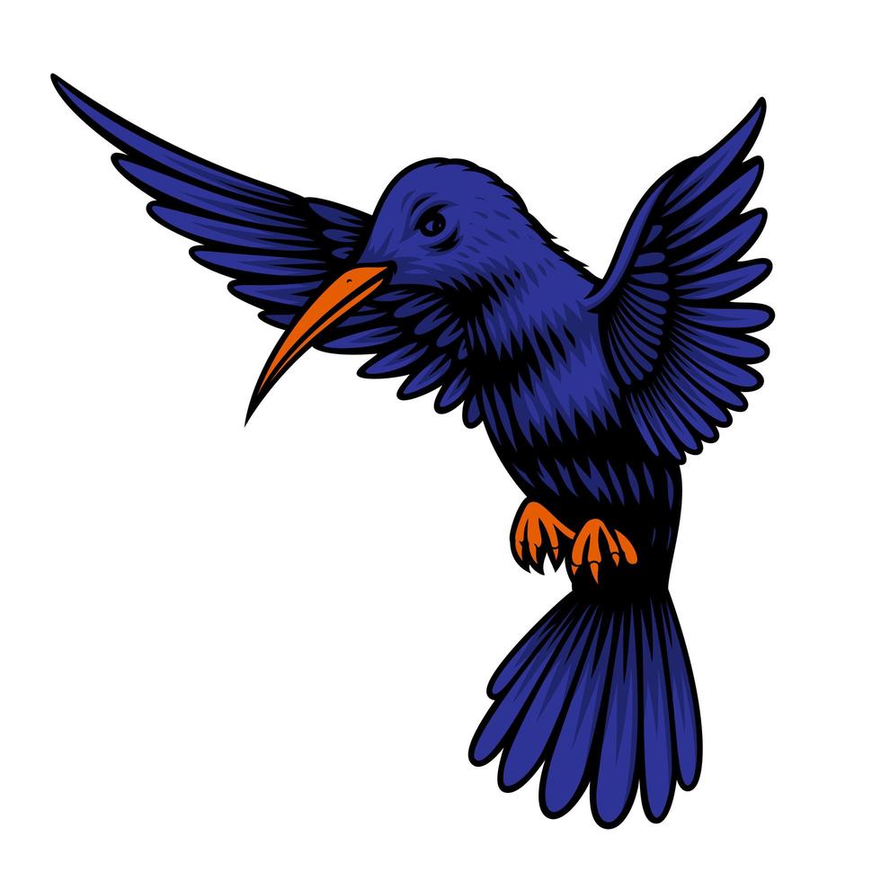 une illustration vectorielle d & # 39; un colibri vecteur