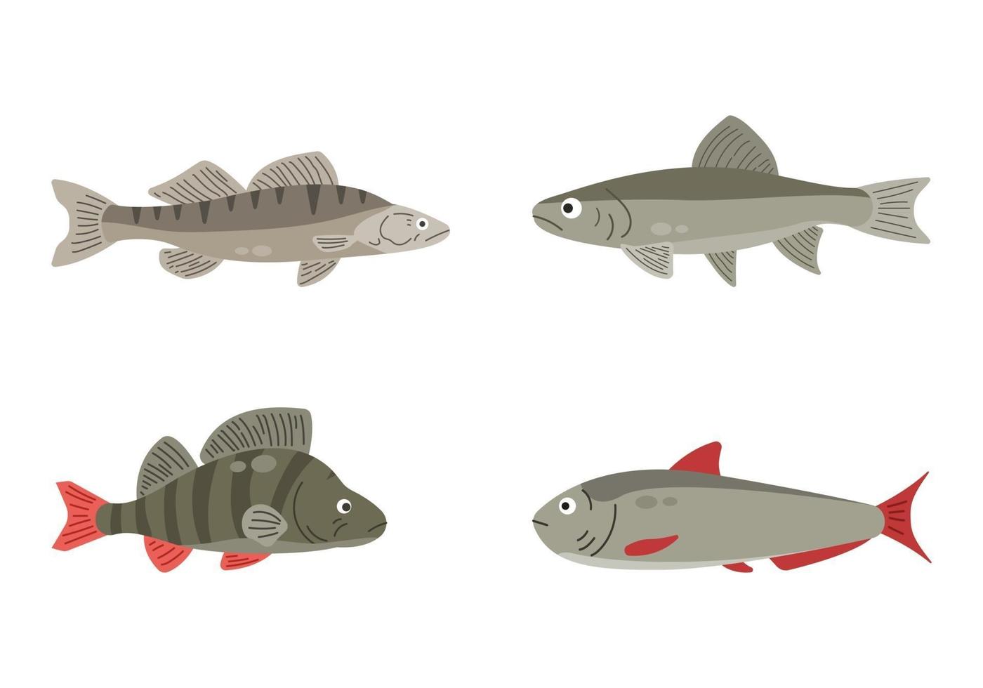 ensemble de poissons de rivière. poisson isolé sur fond blanc. illustration vectorielle. vecteur