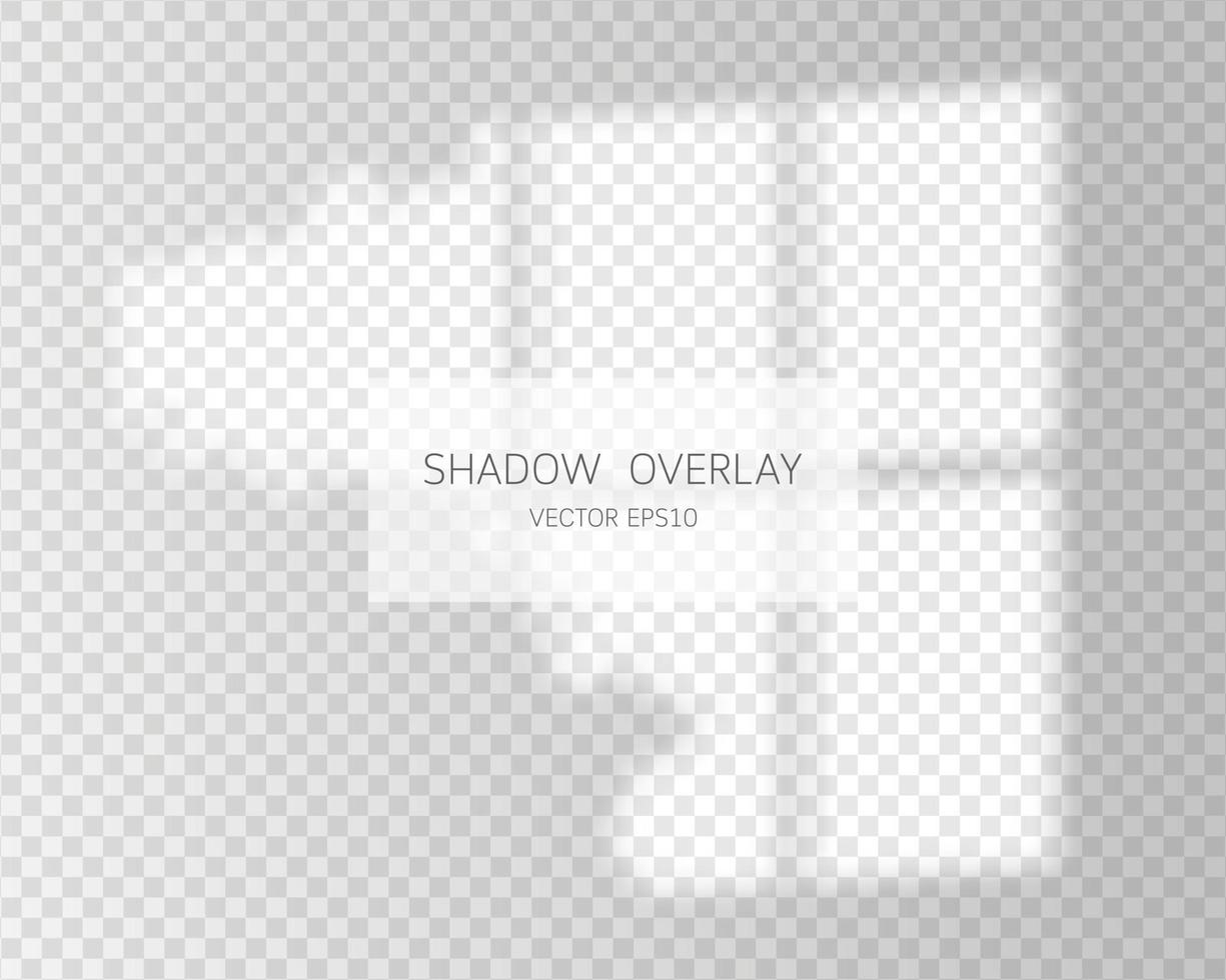 effet de superposition d'ombre. ombres naturelles de la fenêtre isolée vecteur