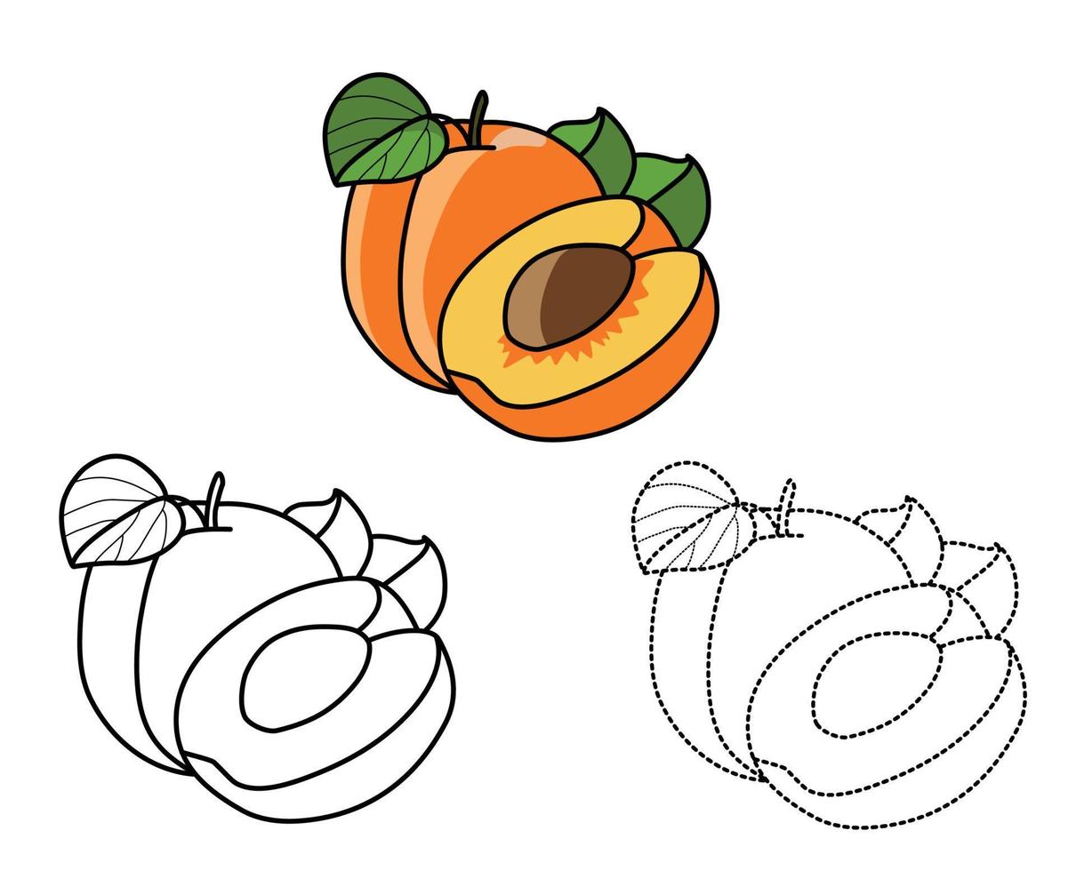légume et abricot coloration pages pour les enfants vecteur