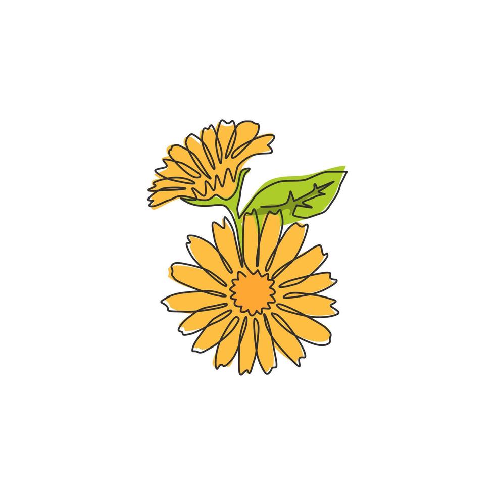 un seul dessin au trait de souci frais de beauté pour l'art de l'affiche de la décoration murale de la maison. concept de fleur de calendula décoratif imprimable pour l'icône du parc. ligne continue moderne dessiner illustration vectorielle de conception vecteur