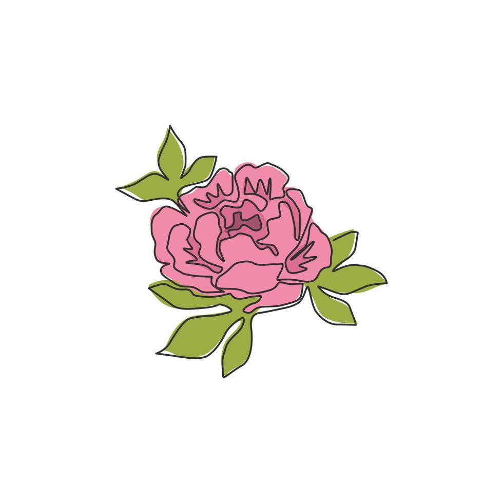 un seul dessin au trait beauté plante herbacée fraîche pour la décoration murale de la maison art affiche impression. fleur de pivoine décorative imprimable pour ornement de carte. ligne continue moderne dessiner illustration vectorielle de conception vecteur