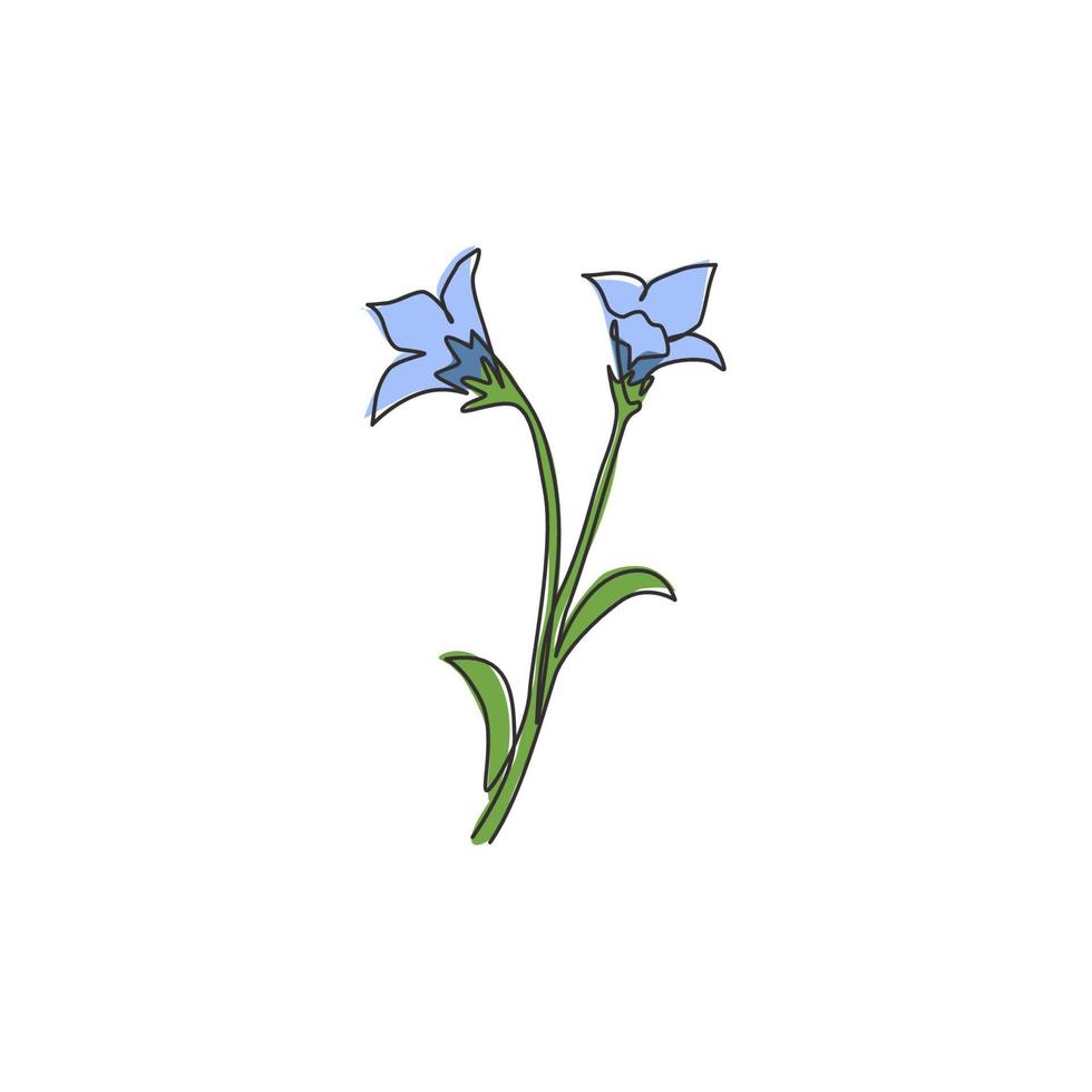 une seule ligne de dessin beauté plante vivace bulbeuse fraîche pour la décoration murale affiche d'art. concept de fleur bluebell décorative imprimable. ligne continue moderne dessiner illustration vectorielle de conception vecteur