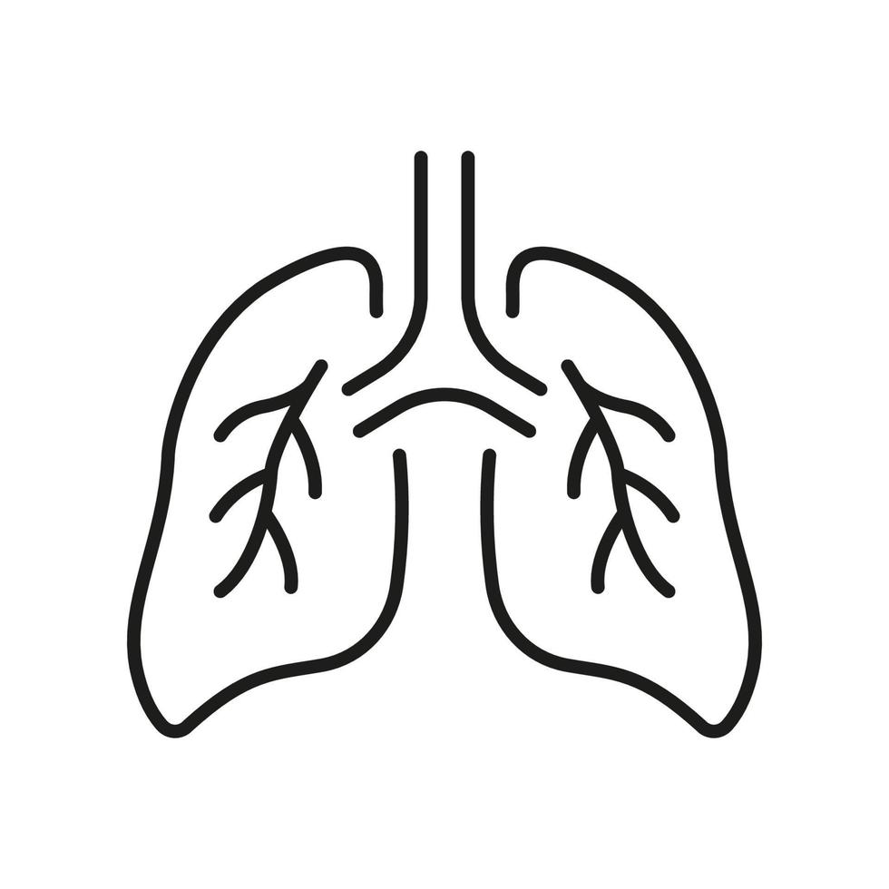 icône de la ligne pulmonaire humaine. pictogramme du système respiratoire des bronches et de la trachée. icône de contour d'organe respiratoire bronchique sain. pneumonie maladie respiratoire. trait modifiable. illustration vectorielle isolée. vecteur