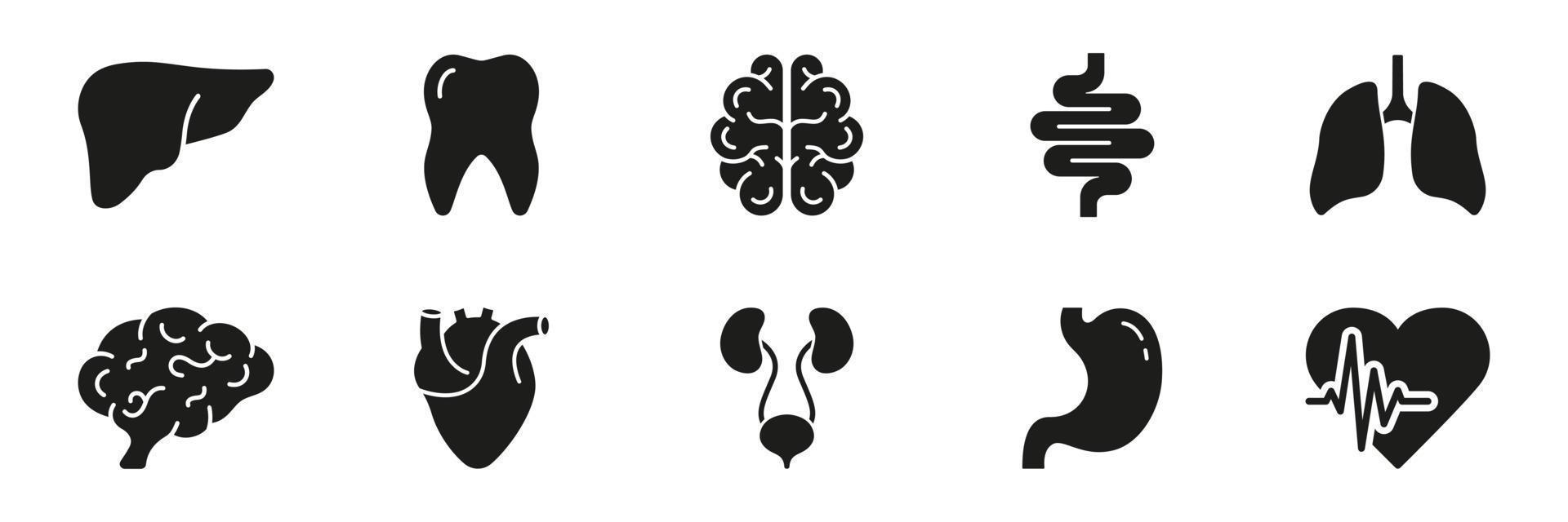 Humain interne organe anatomie silhouette icône ensemble. dent, foie, cerveau, intestin, poumon, cœur, estomac, urinaire système glyphe pictogramme. médical soins de santé icône. isolé vecteur illustration.