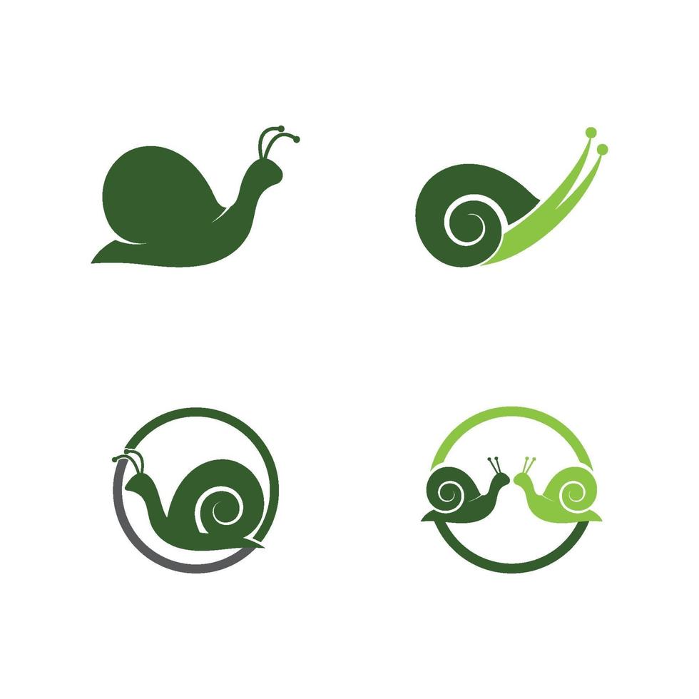 escargot logo et symbole icône vecteur