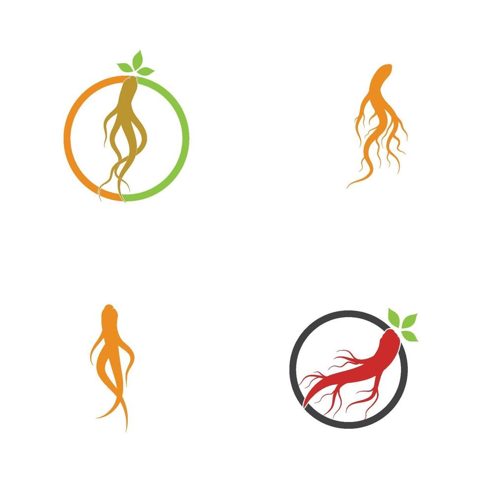 vecteur de logo et symbole de ginseng