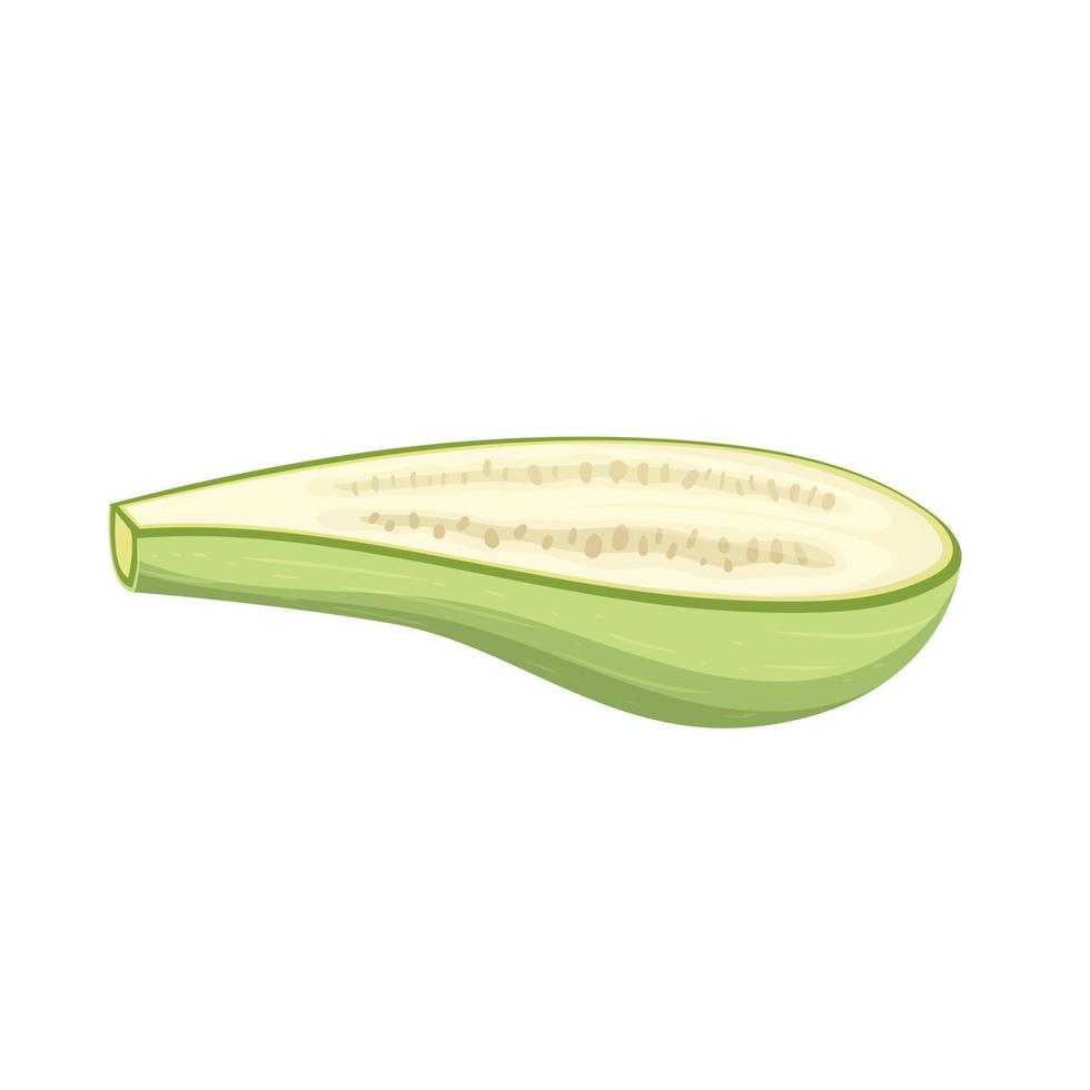 Zucchini moelle légume dessin animé vecteur illustration