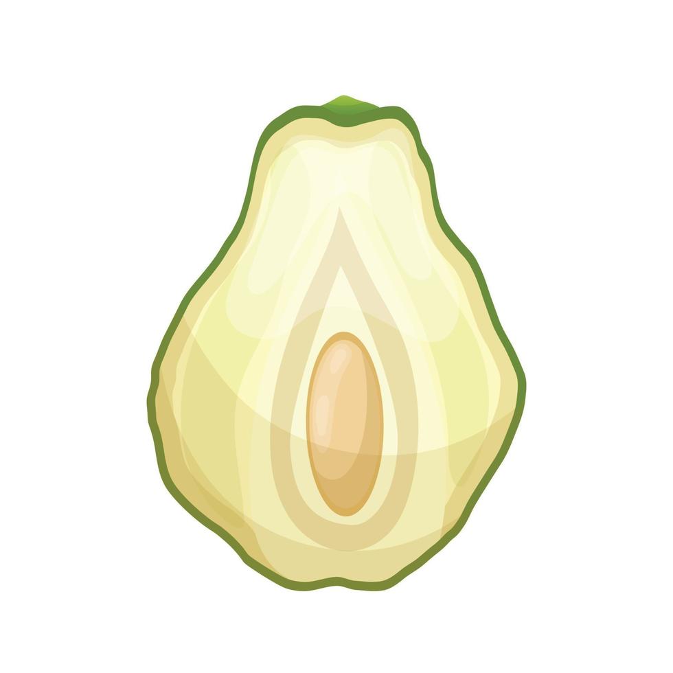 chayote Frais dessin animé vecteur illustration