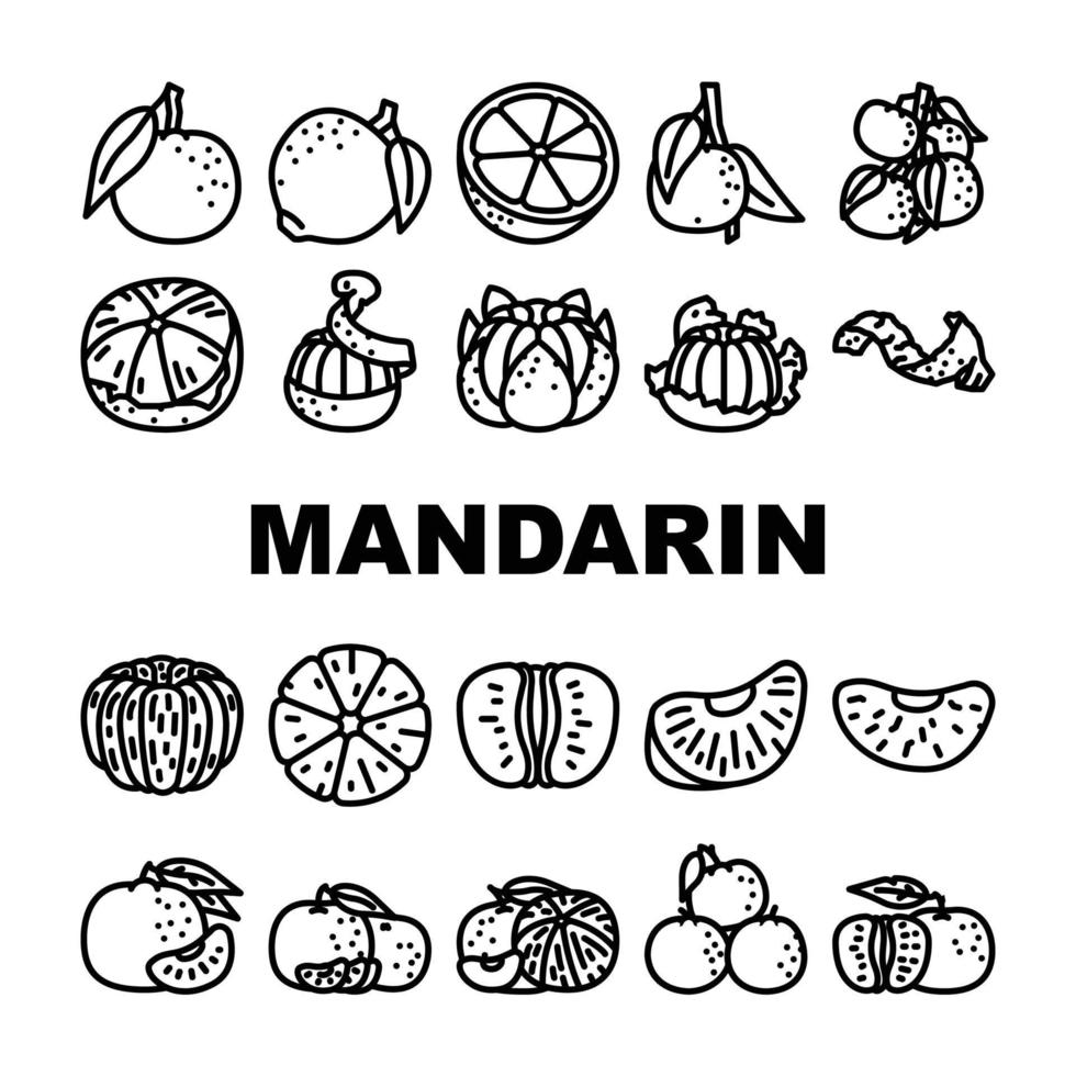 mandarin agrumes fruit Icônes ensemble vecteur