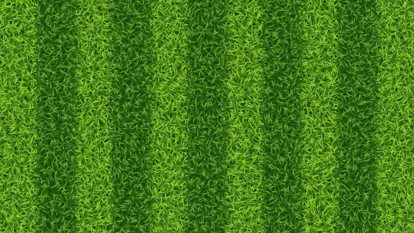 rayé football Football herbe champ vecteur texture. vert herbe modèle pour sport Contexte