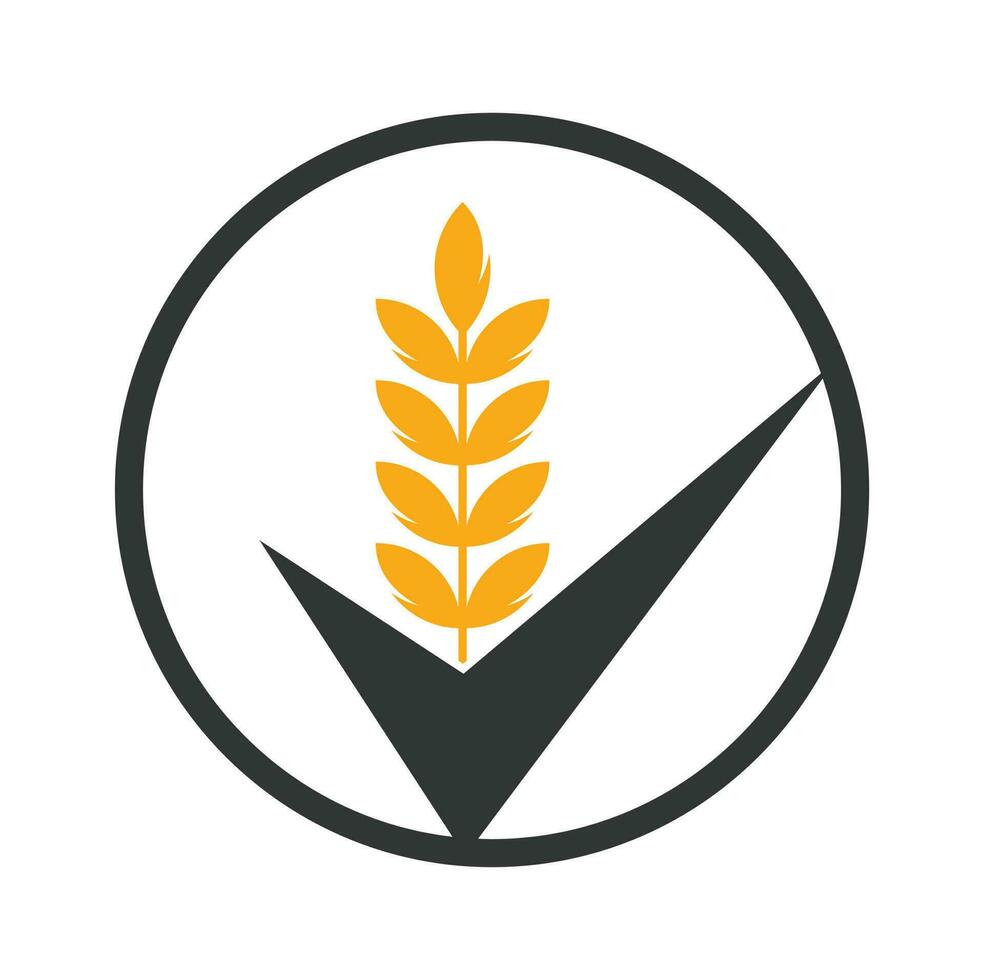 blé grain vérifier logo. grain blé logo concept signe icône symbole conception. vecteur