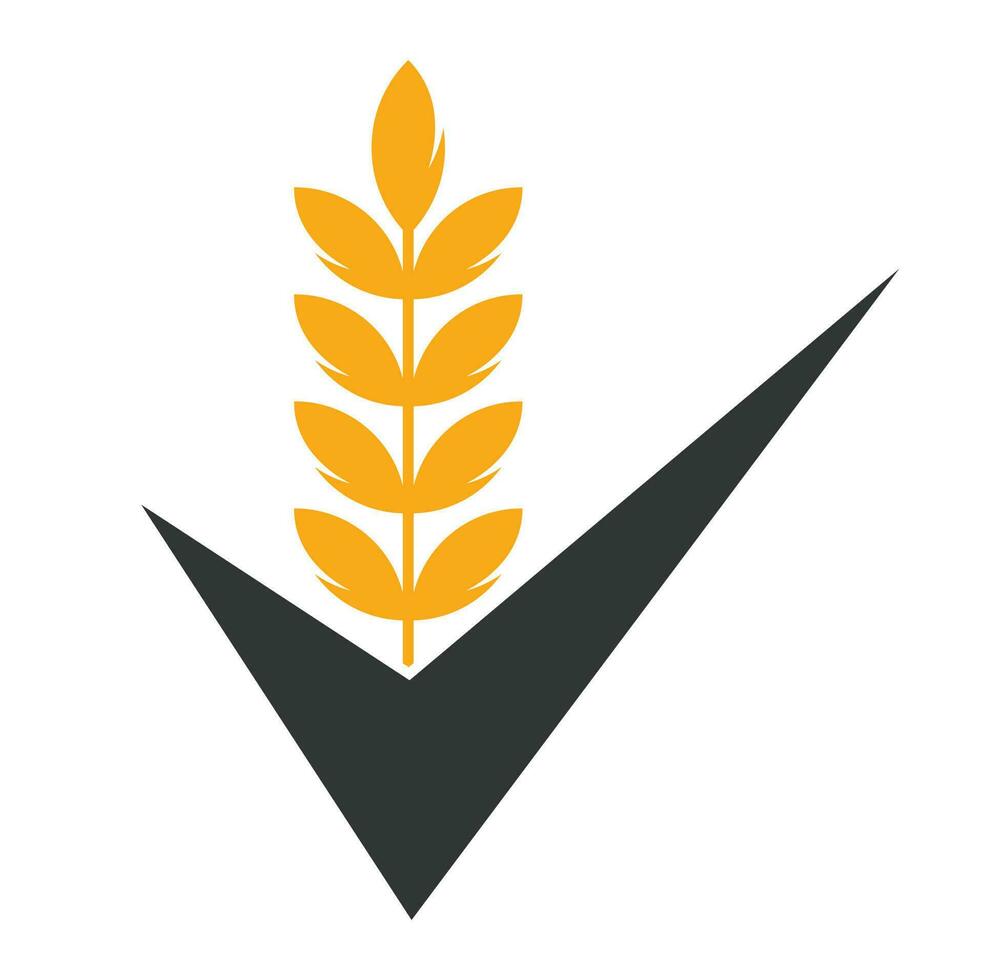 blé grain vérifier logo. grain blé logo concept signe icône symbole conception. vecteur