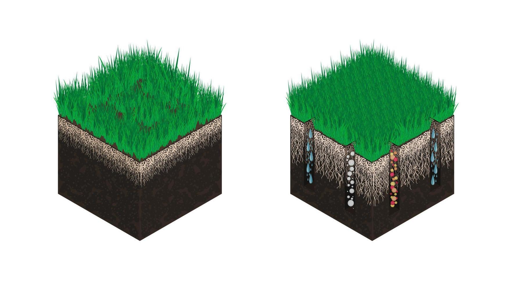 pelouse se soucier, sol isométrie, étapes avant et après aération. effet sur le admission de substances - eau, oxygène et nutriments pour herbe nutrition. vecteur illustration isolé sur une blanc Contexte.