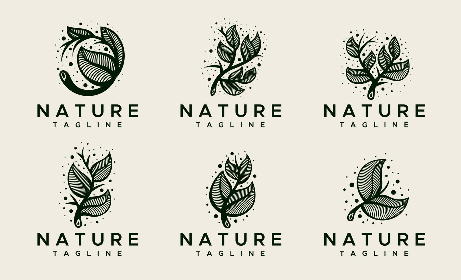 décoratif Naturel feuille logo conception modèle. vert floral feuilles logo vecteur ensemble.