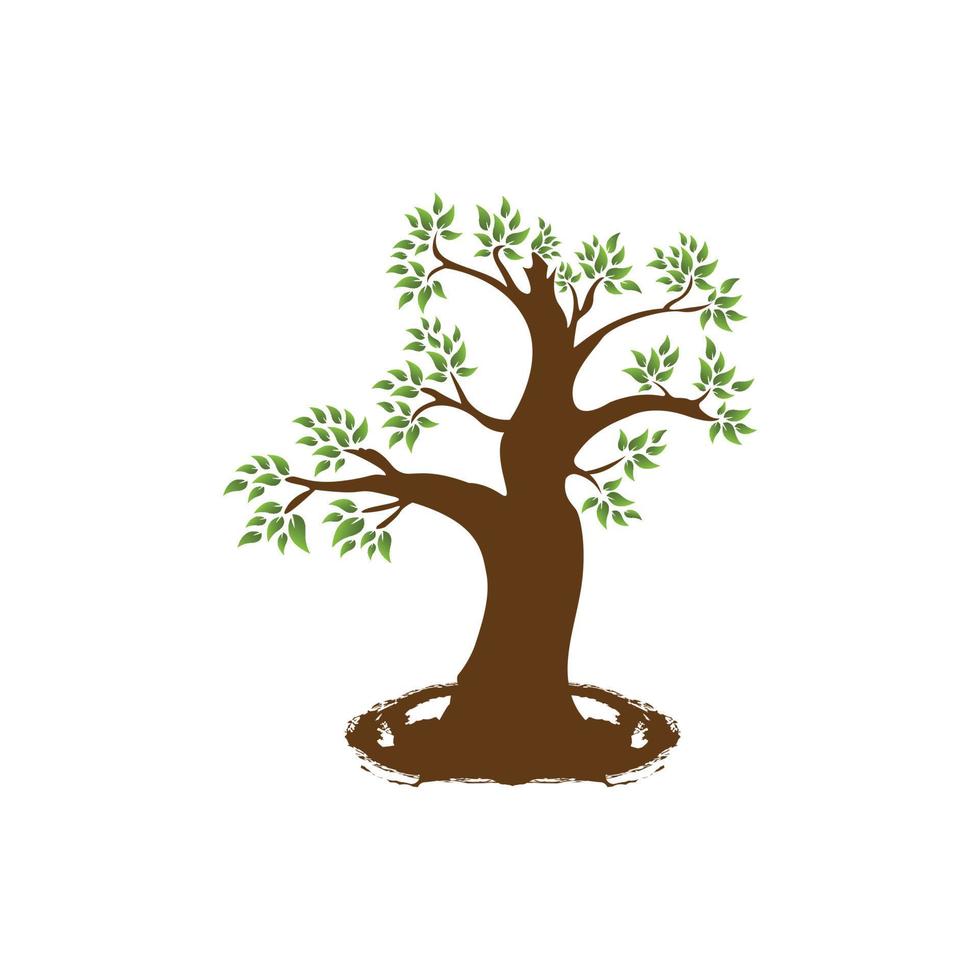biologique logo. feuilles dans main logo. Naturel des produits logo. produits de beauté icône. spa logo vecteur