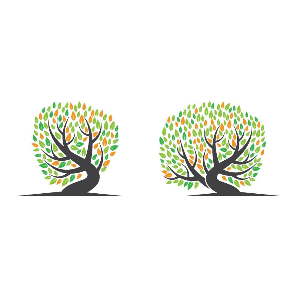 conception d'images de logo d'arbre vecteur