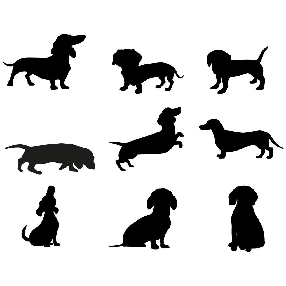 teckel icône vecteur ensemble. chien illustration signe collection. Accueil animal de compagnie symbole ou logo.