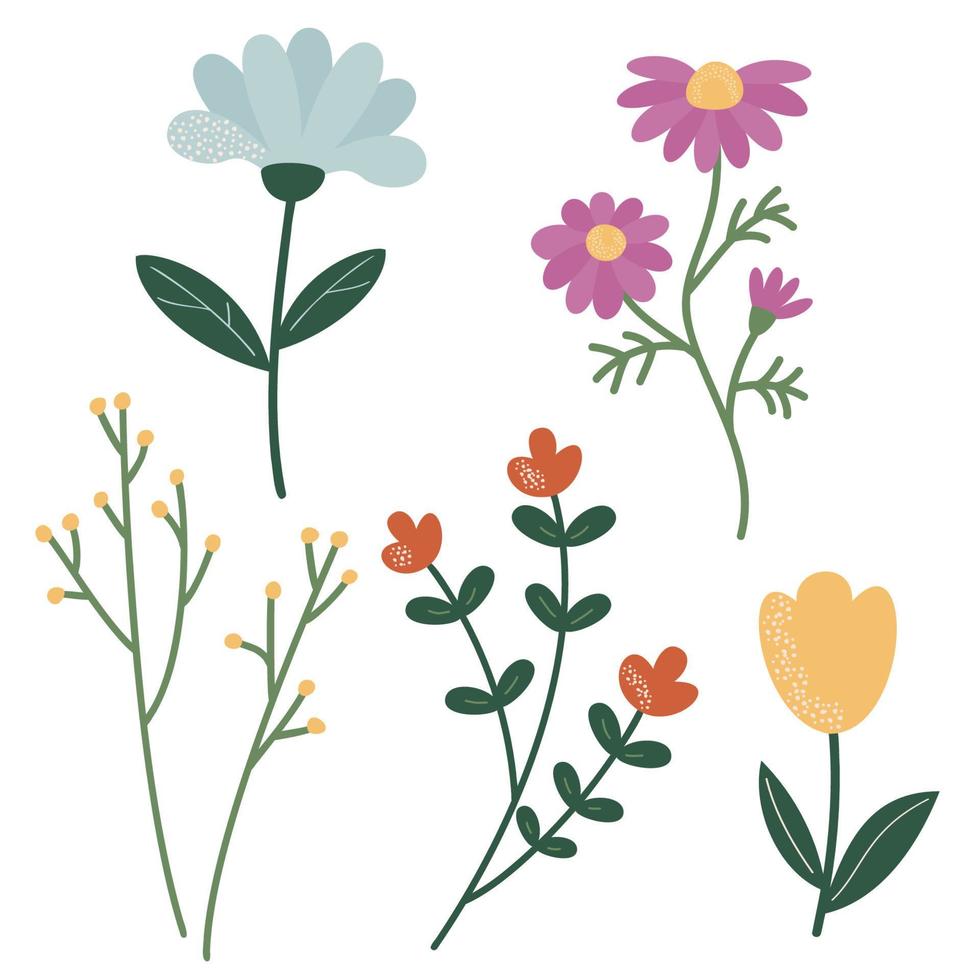 une ensemble de brindilles et fleurs pour décoration. vecteur illustration de stylisé les plantes dans dessin animé style. isolé sur une blanc Contexte.