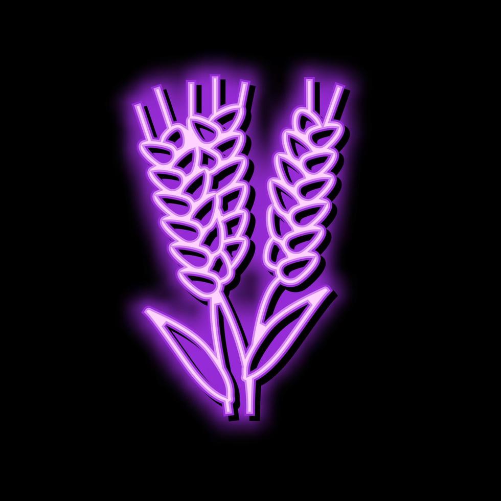 oreille orge récolte néon lueur icône illustration vecteur