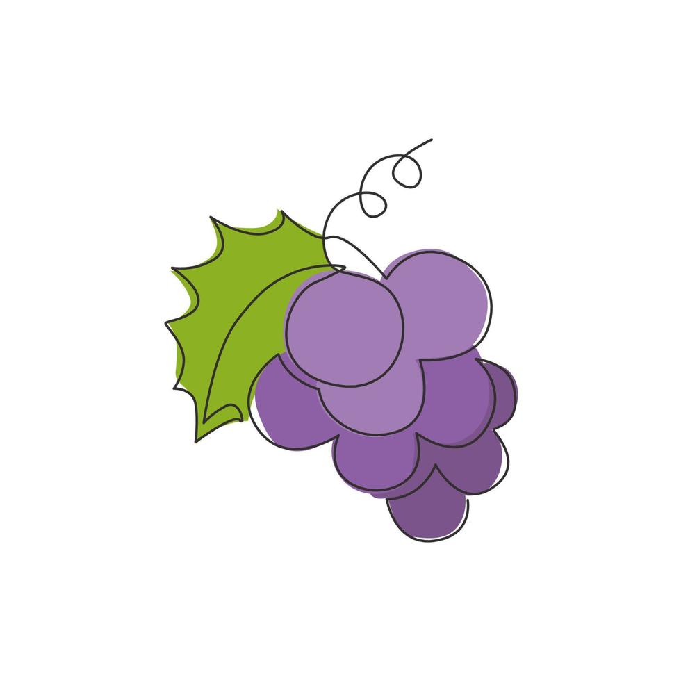 une seule ligne dessinant un raisin biologique sain pour l'identité du logo du vignoble. concept de fruitage tropical frais pour l'icône de jardin de verger de fruits. illustration vectorielle de ligne continue moderne dessin graphique vecteur