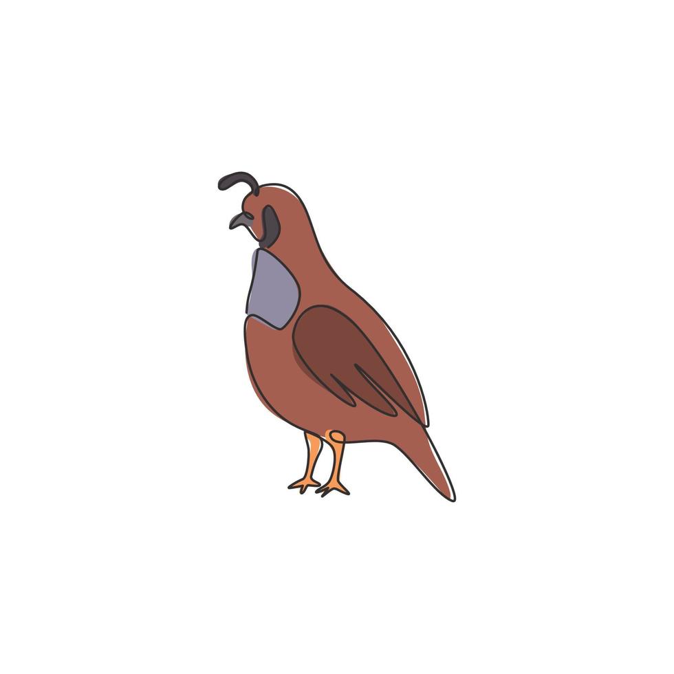 un seul dessin d'une adorable caille de la vallée de la Californie pour l'identité du logo de la volaille. concept de mascotte d'oiseau de bain de poussière pour l'icône du zoo national. ligne continue moderne dessiner illustration vectorielle de conception vecteur