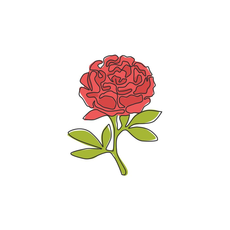 dessin au trait continu unique d'une plante herbacée fraîche de beauté pour le logo de jardin. concept de fleur de pivoine décorative imprimable pour carte d'invitation de mariage. illustration vectorielle de conception à la mode une ligne vecteur