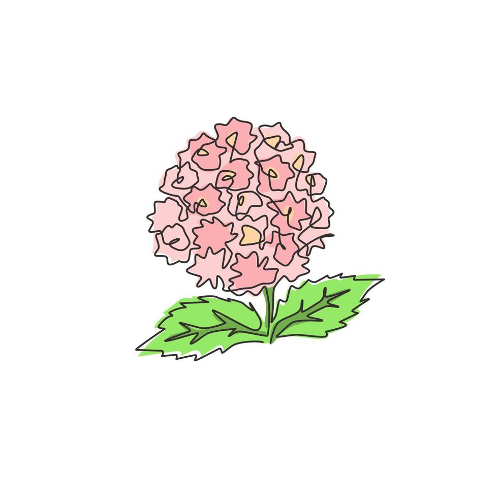 dessin au trait continu unique de la lantana fraîche de beauté pour le logo du jardin. concept de fleur de verveine d'arbuste décoratif pour l'impression d'affiche d'art de décoration murale à la maison. illustration vectorielle de conception à la mode une ligne vecteur