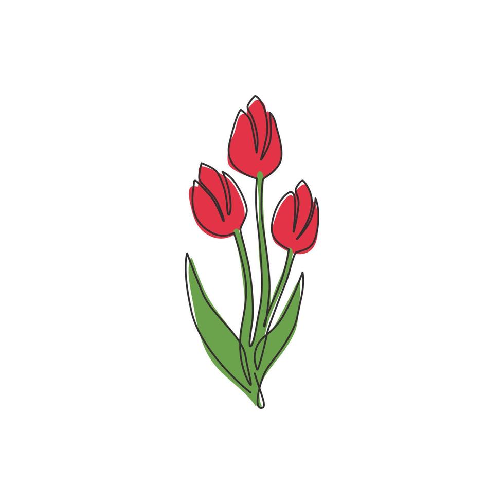 dessin au trait continu unique de la tulipe fraîche de beauté pour l'identité du logo du jardin. concept décoratif de fleur de nationalité néerlandaise pour le textile de mode. Une ligne moderne dessiner illustration vectorielle de conception vecteur