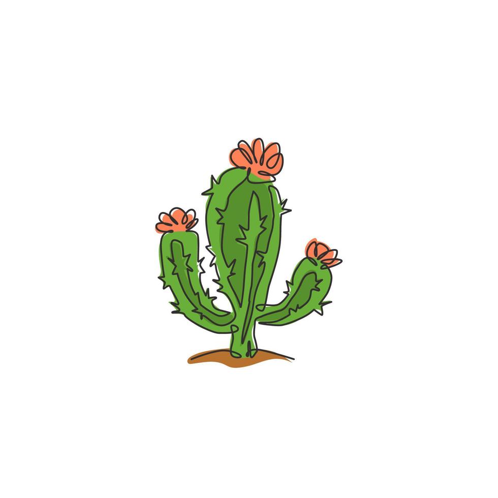 une seule ligne dessinant une jolie plante de cactus épineux tropical exotique. concept de plante d'intérieur décorative imprimable décoration papier peint ornement. ligne continue moderne dessiner illustration graphique vectorielle de conception vecteur