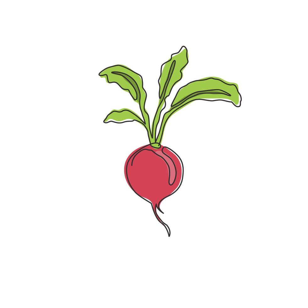 un seul dessin de radis rouge biologique sain entier pour l'identité du logo de la ferme. concept de culture fraîche pour l'icône de légume-racine comestible. ligne continue moderne dessiner illustration graphique vectorielle de conception vecteur