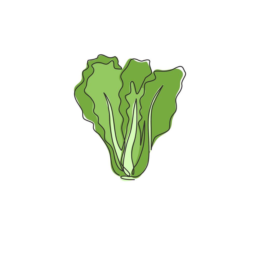 un seul dessin de feuilles vertes de moutarde biologiques entières et saines pour l'identité du logo de la ferme. concept de brassica juncea frais pour l'icône de légumes. ligne continue moderne dessiner illustration vectorielle de conception vecteur