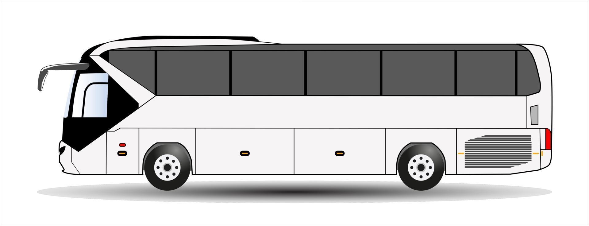 bus isolé sur fond blanc. vecteur. vecteur