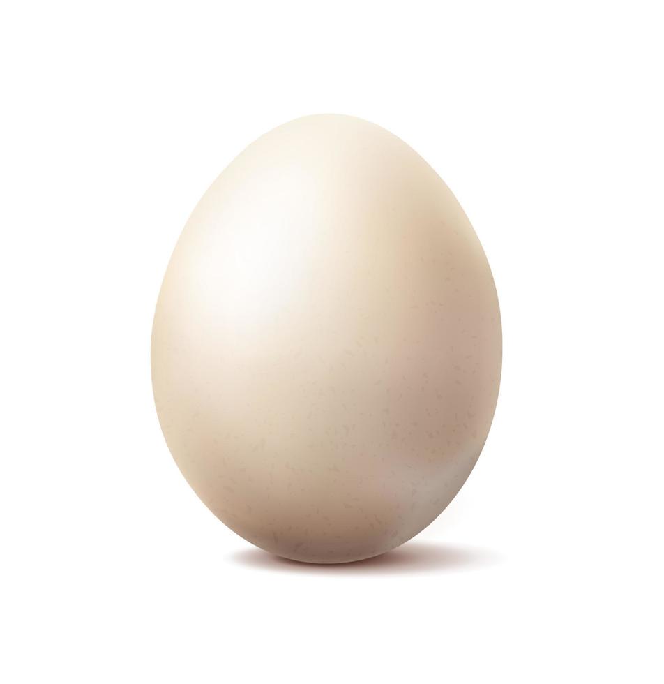 3d réaliste vecteur icône illustration. blanc entier biologique poulet œuf. isolé sur blanc Contexte.