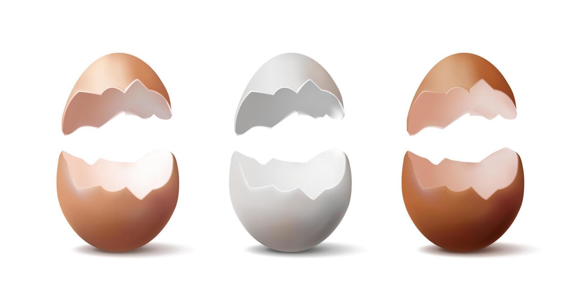 3d réaliste vecteur icône illustration. ensemble de cassé des œufs dans blanc, lumière marron et marron couleur.