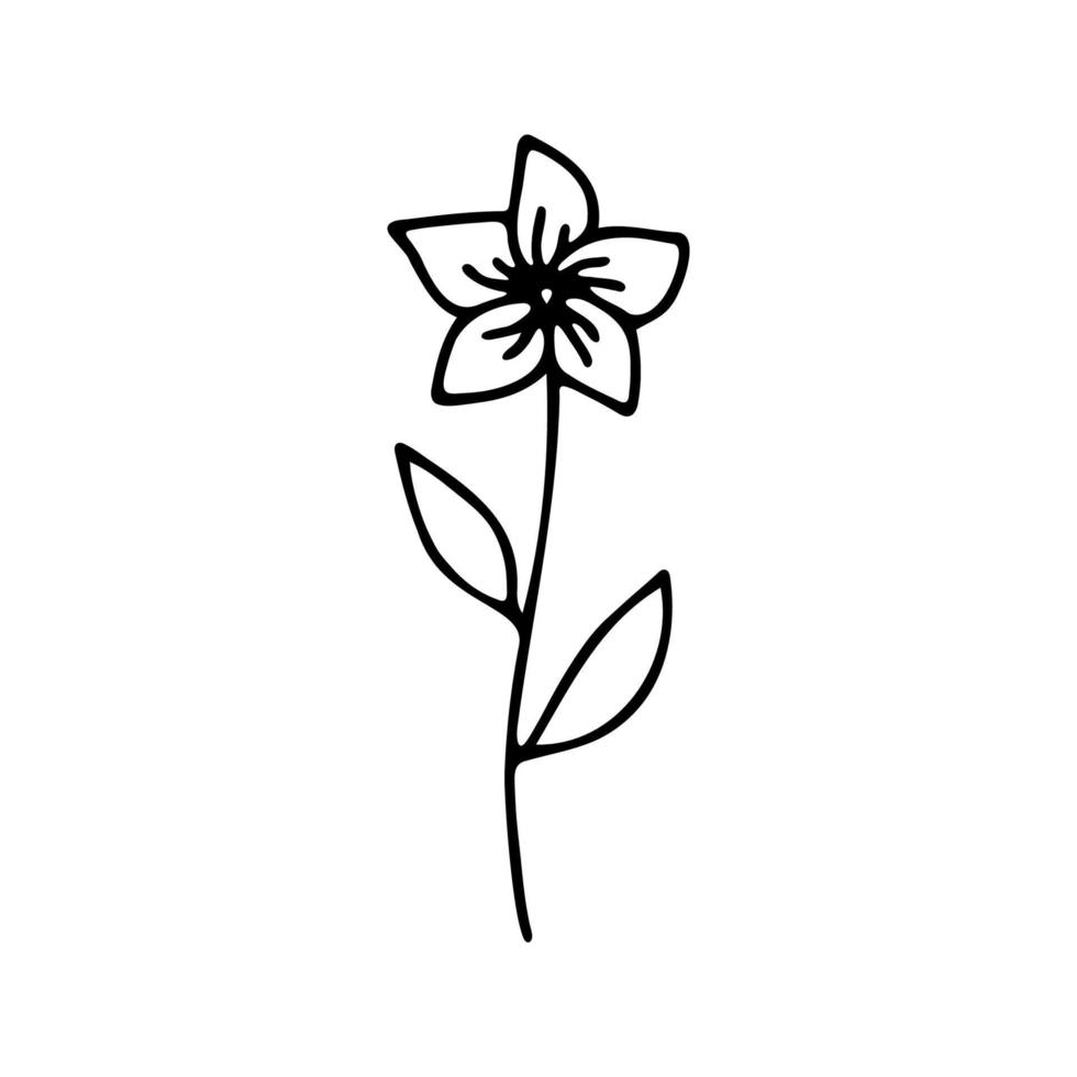 main tiré à base de plantes, floral clipart. un ligne griffonnage vecteur