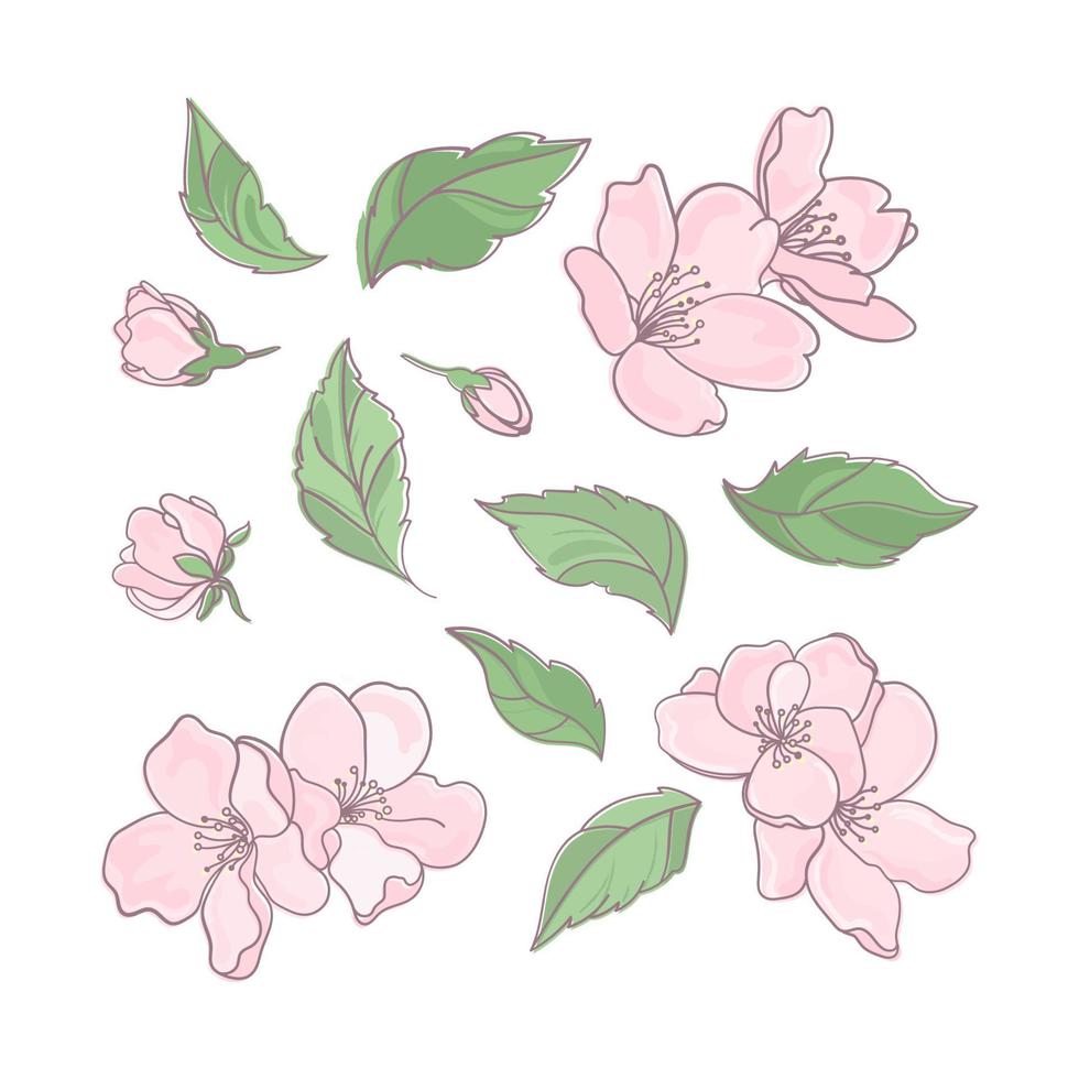 Sakura rose fleurs décoration agrafe art vecteur illustration ensemble