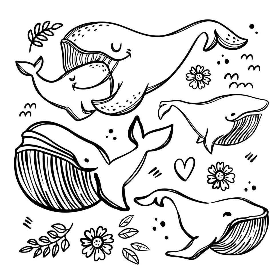 baleines dans esquisser style monochrome vecteur illustration ensemble