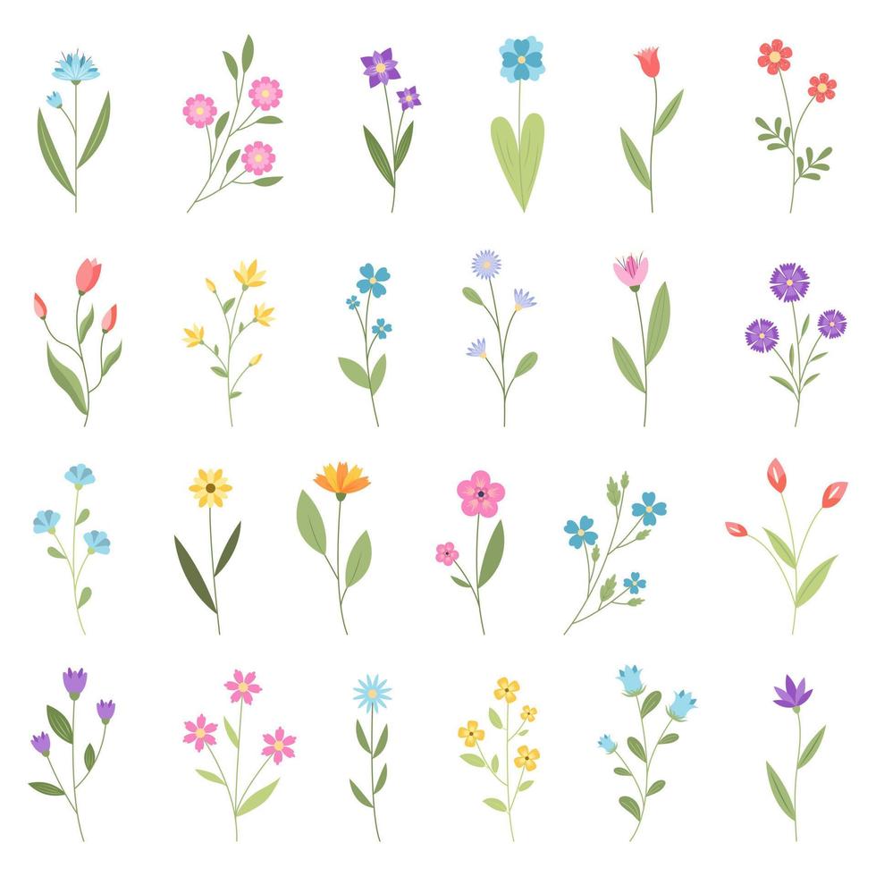 une ensemble de été et printemps fleurs. vecteur illustration.