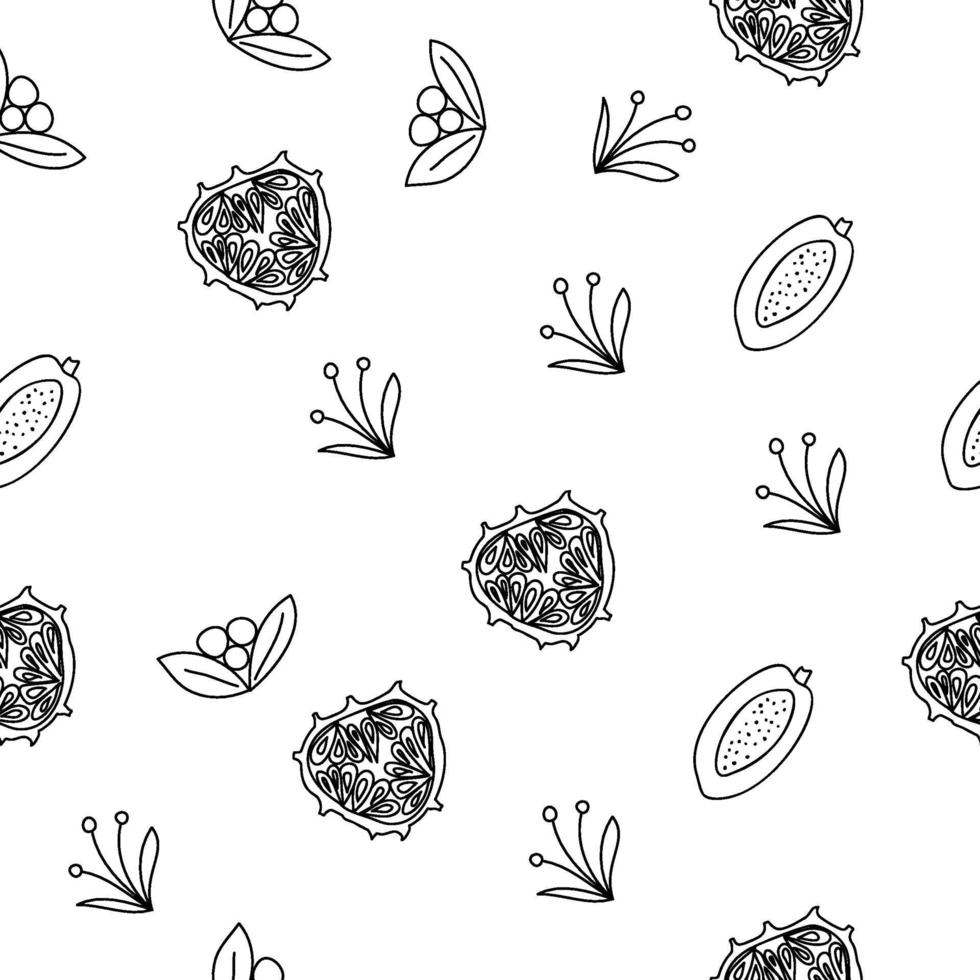 modèle sans couture de ligne de fruits tropicaux. fond botanique noir et blanc. illustration vectorielle été vecteur