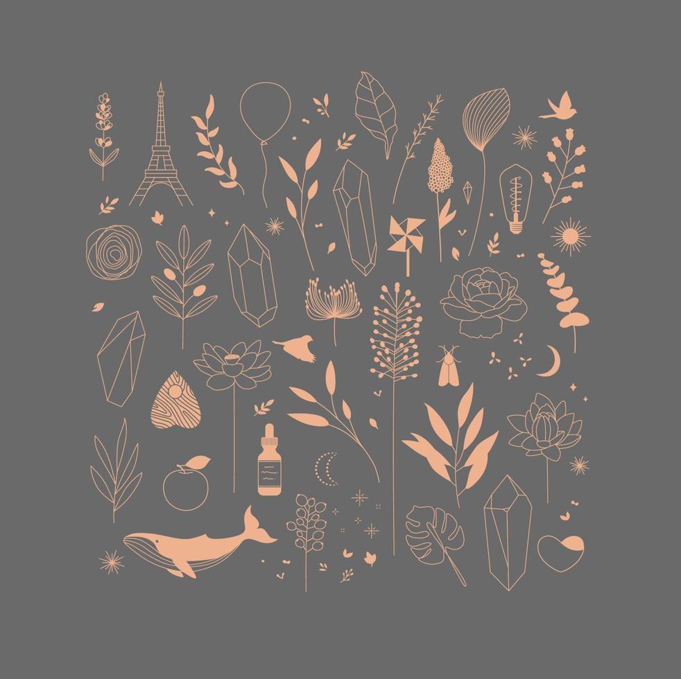 ensemble de différent décoratif éléments avec branches, fleurs, animaux et divers objets dessin sur gris Contexte vecteur