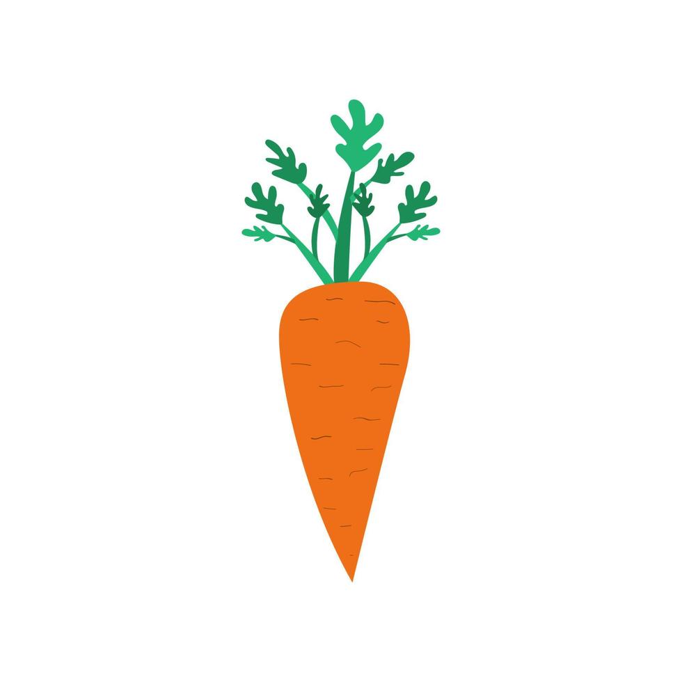 carotte avec tige. utile légume dans plat style. carotte icon.healthy repas. végétarien aliments. vecteur illustration de une carotte avec une blanc isolé Contexte.