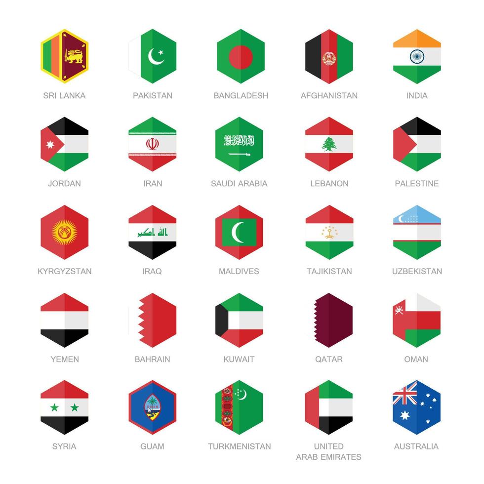 Asie milieu est et Sud Asie drapeau Icônes. hexagone plat conception. vecteur