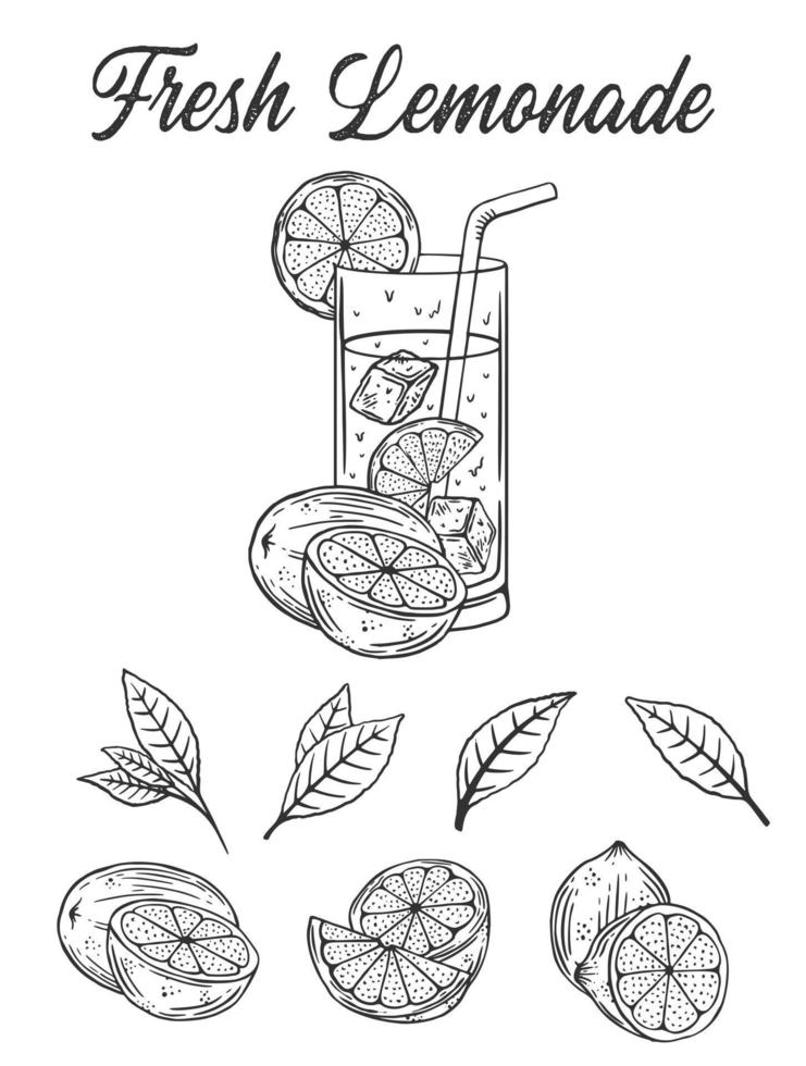 ancien limonade esquisser ou vecteur main tiré illustration vecteur