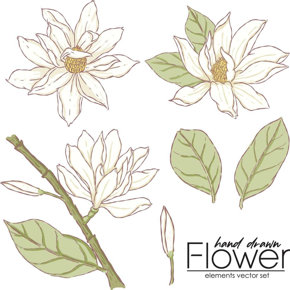 illustration main dessiner blanc fleur et laisser vecteur