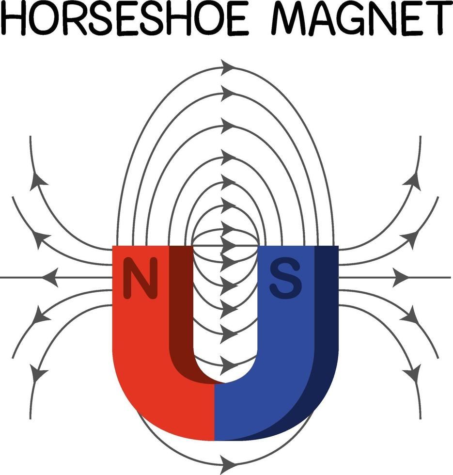diagramme d'aimant en fer à cheval pour l'éducation vecteur