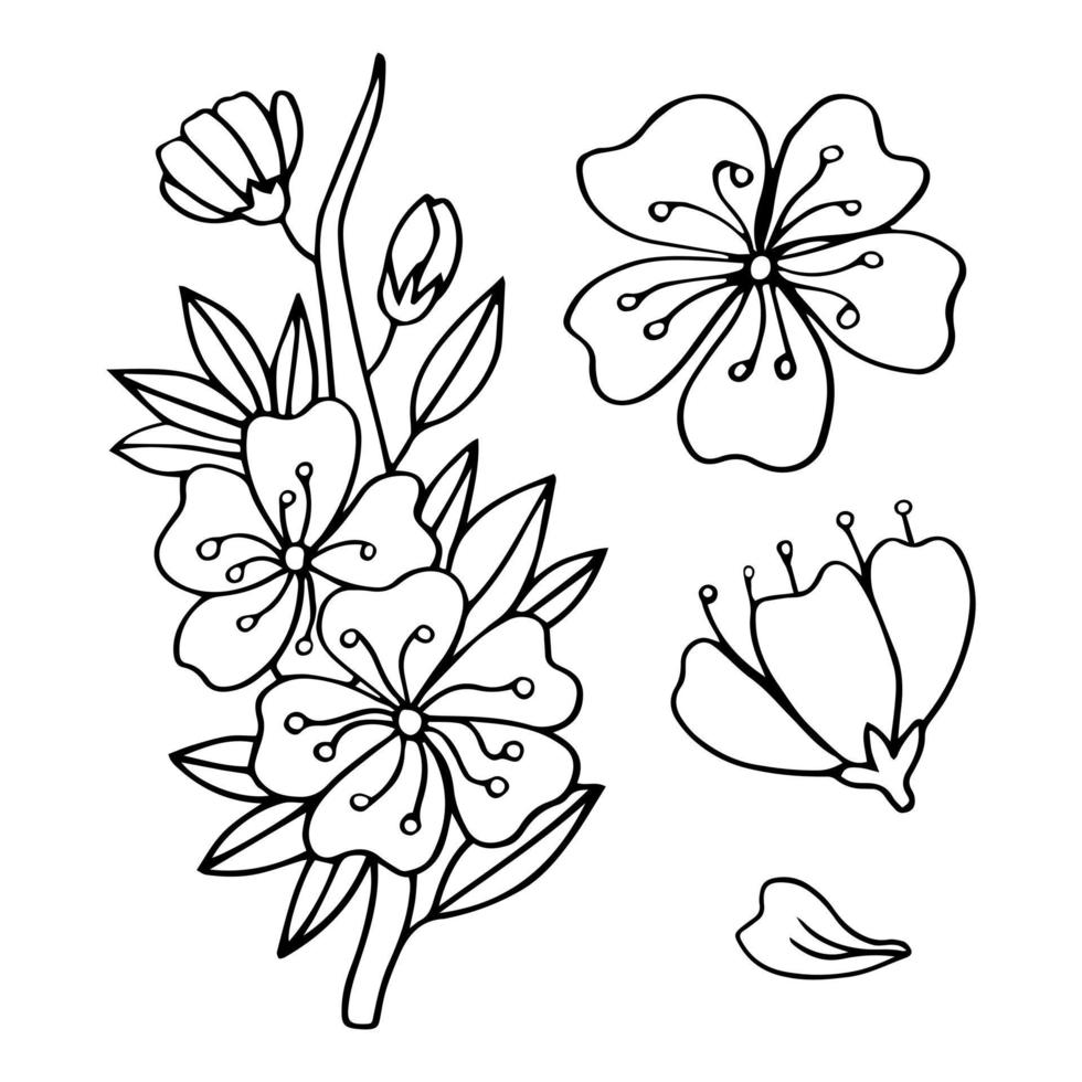 ensemble de fleurs de fleurs de sakura, style d'encre de ligne dessinée à la main. illustration vectorielle de plante de cerisier mignon doodle, noir isolé sur fond blanc. floraison florale réaliste pour les vacances printanières japonaises ou chinoises vecteur