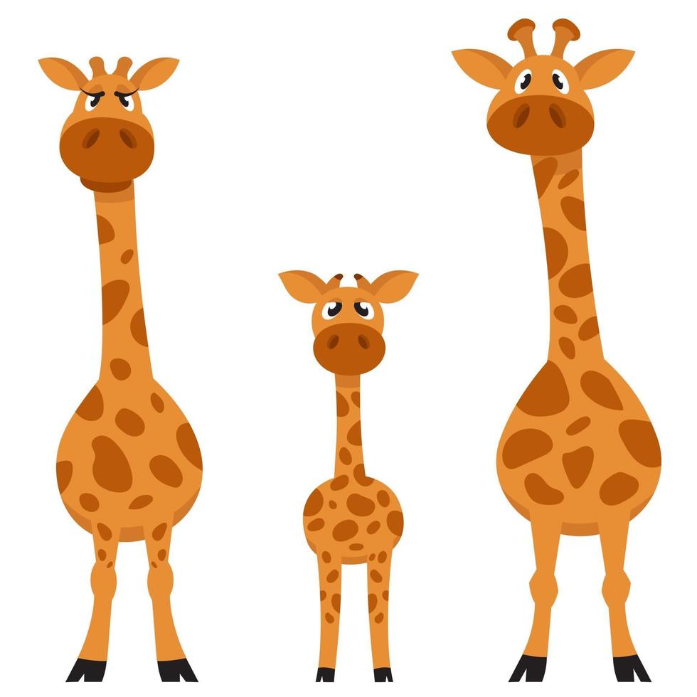 vue de face de la famille girafe. vecteur