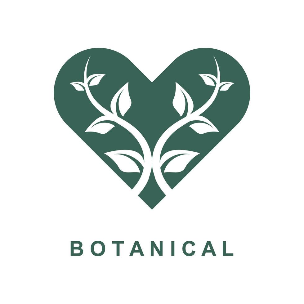 botanique logo illustration pour beauté Naturel biologique marque vecteur