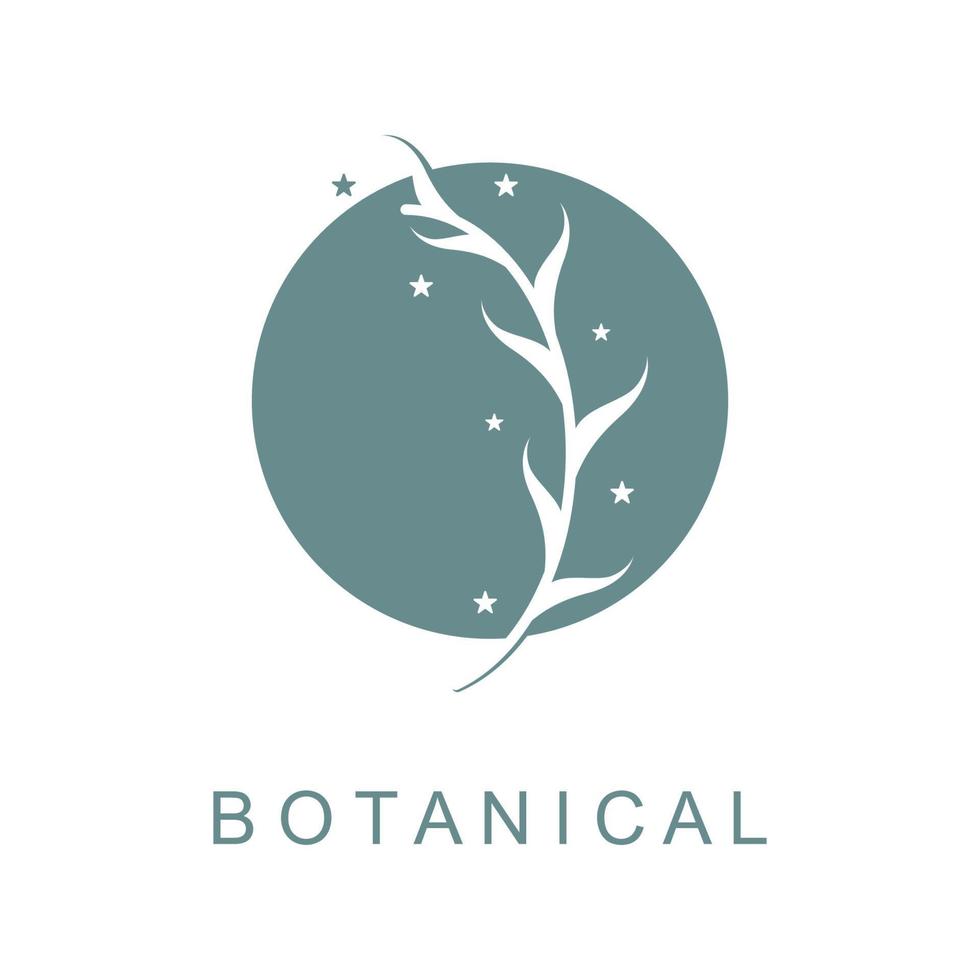 botanique logo illustration pour beauté Naturel biologique marque vecteur